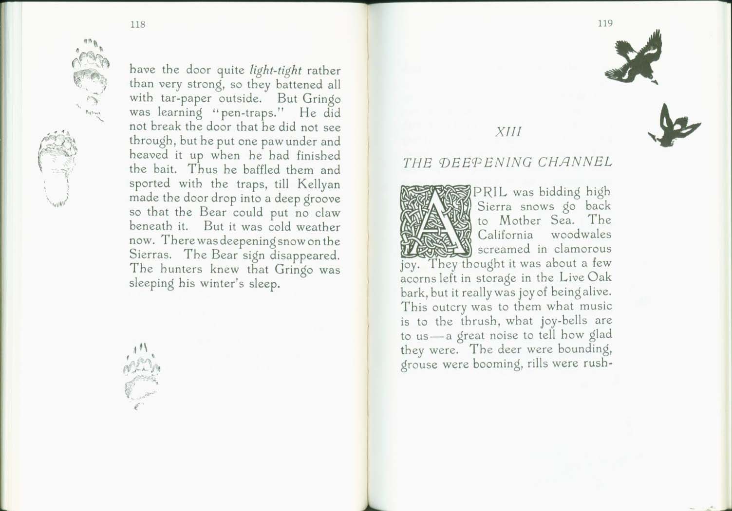 MONARCH, the Big Bear of Tallac in the Lake Tahoe High Sierra.&nbsp;vist0040h